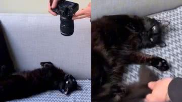 Reprodução/TikTok @rodrigom.ph