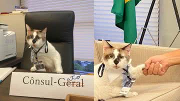 Reprodução / Instagram