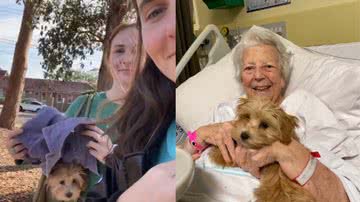 Reprodução / TikTok