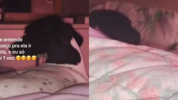 Reprodução//TikTok @mariaclarasfair