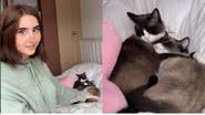 Reprodução//TikTok @anafavs