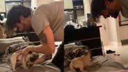 Reprodução//TikTok @dolores_thepug
