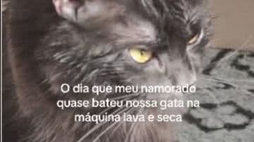 Reprodução / TikTok @gameoflitrones