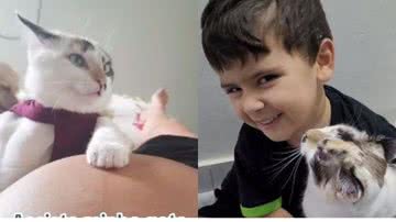 Reprodução// TikTok @aliceemiguelgomes