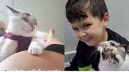 Reprodução// TikTok @aliceemiguelgomes