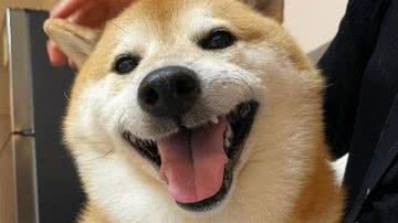 Reprodução//Instagram @balltze