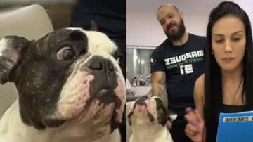 Reprodução// TikTok @fredericobulldogbaby