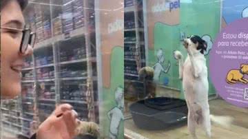 Reprodução// TikTok @boovetip