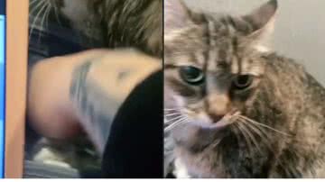 Reprodução// TikTok @patriciadantaaas