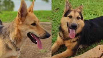 Reprodução/TikTok @aline_patricioo