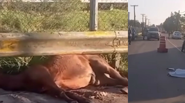 Homem morre após cair de cavalo em Mata de São João - BAHIA NO AR