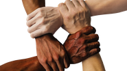 Divulgação / Pixabay