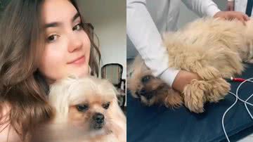 Reprodução/TikTok @eu_peoliveira