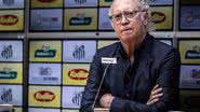 Raul Baretta/Santos FC