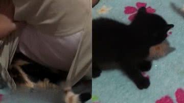 Reprodução/TikTok @maewellynthayane