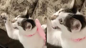 Reprodução / Instagram