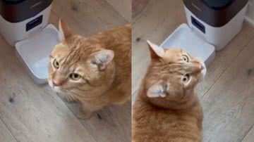 Reprodução / TikTok