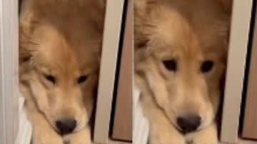 Reprodução / TikTok