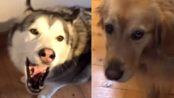 Reprodução / Instagram