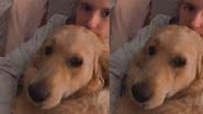 Reprodução / TikTok