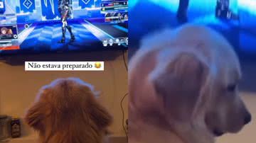 Reprodução / Instagram