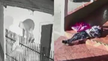 Reprodução/Redes sociais