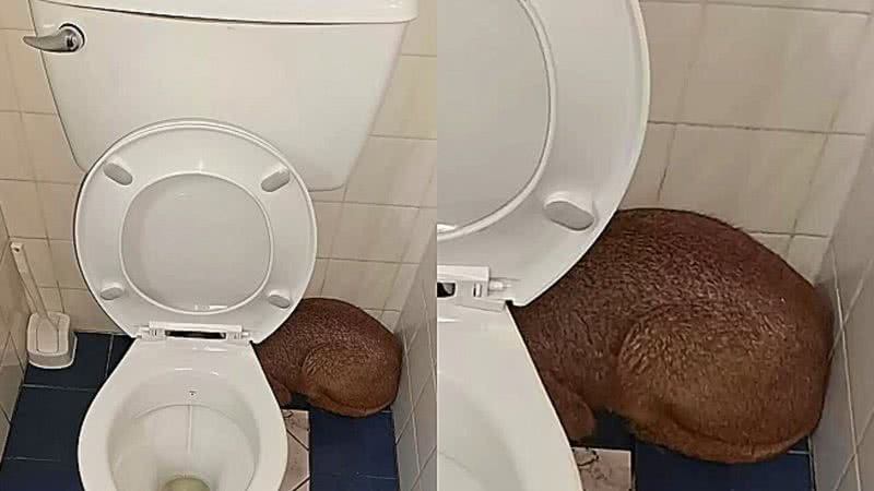 Reprodução / Facebook / Arnold Slabbert