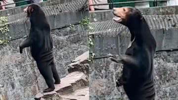 Reprodução/Redes Sociais