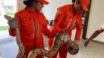 Divulgação/Corpo de Bombeiros