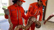 Divulgação/Corpo de Bombeiros