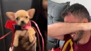 Reprodução / TikTok