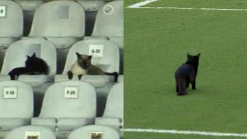 Reprodução/Sportv