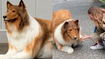 Reprodução/Redes Sociais