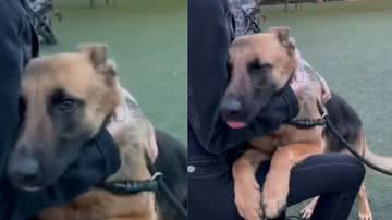 Reprodução / TikTok