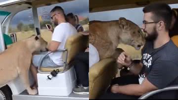 Reprodução/TikTok @africaimage05