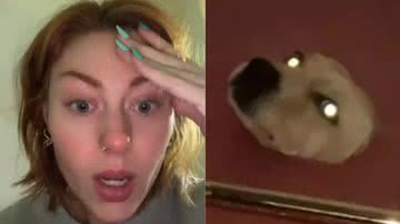 Reprodução / TikTok