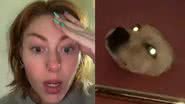 Reprodução / TikTok