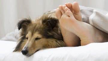 Reprodução/Pixabay