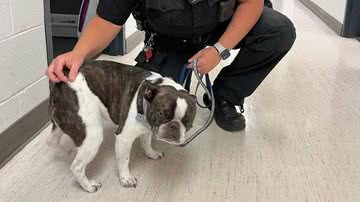Divulgação/Facebook/Allegheny County Police Department