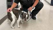 Divulgação/Facebook/Allegheny County Police Department