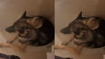 Reprodução / TikTok