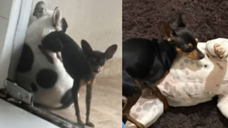 Reprodução / Instagram