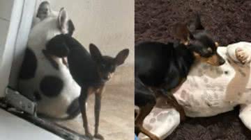 Reprodução / Instagram