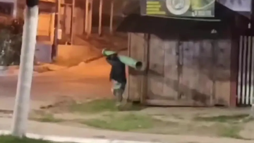 Reprodução / Vídeo