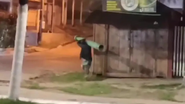 Reprodução / Vídeo