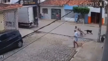 Reprodução/Circuito de segurança