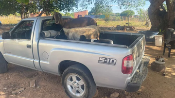 Divulgação / Polícia Civil