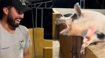 Reprodução/TikTok @fazendaaboavista2