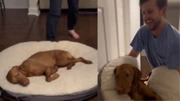 Reprodução / TikTok