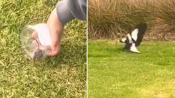 Reprodução/Twitter @nazareamarga